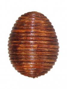 Terre 38440253 Terre 38440253