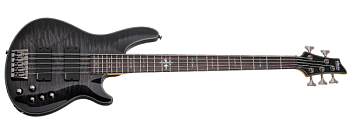 SCHECTER DAMIEN ELITE-5