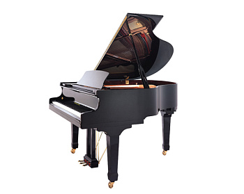 Hailun HG178 black polish