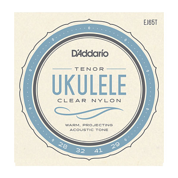 D'ADDARIO EJ65T