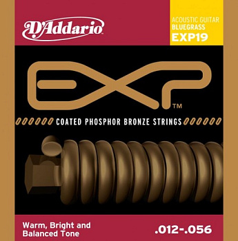 D'ADDARIO EXP19