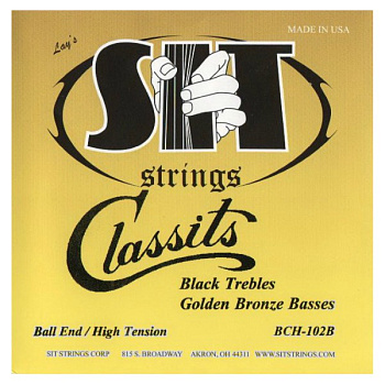 SIT Strings BCH102B
