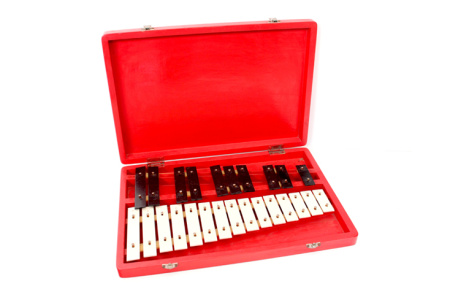 ALINA AM25Case