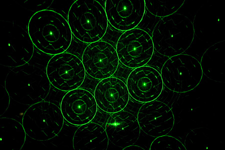 LS Systems Multi Sunny