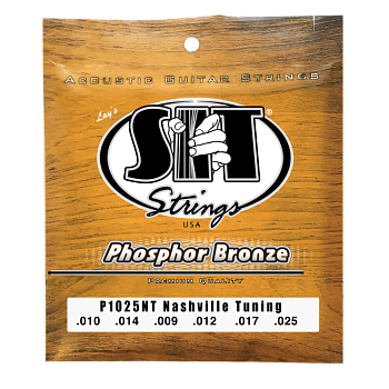SIT Strings P1025NT