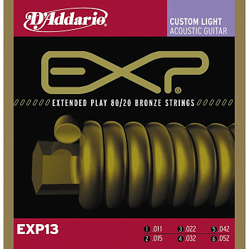 D'ADDARIO EXP13