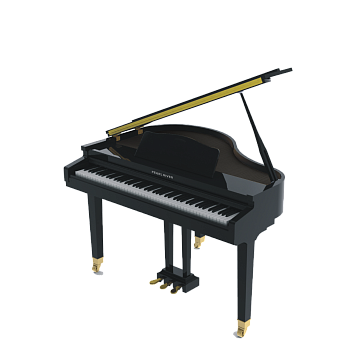 Pearl River GP-1100 Black Pearl River GP-1100 Black
