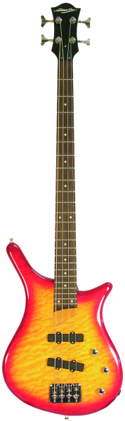 ALINA PRO Strike2020