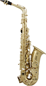 Sebastian SAS-200 G Sebastian SAS-200 G