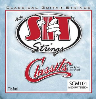 SIT Strings SCM101
