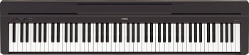 YAMAHA P-45
