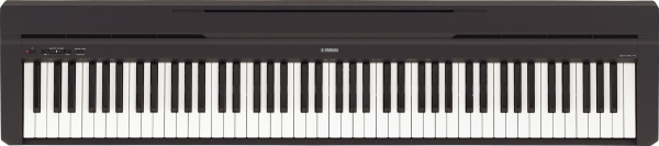 YAMAHA P-45