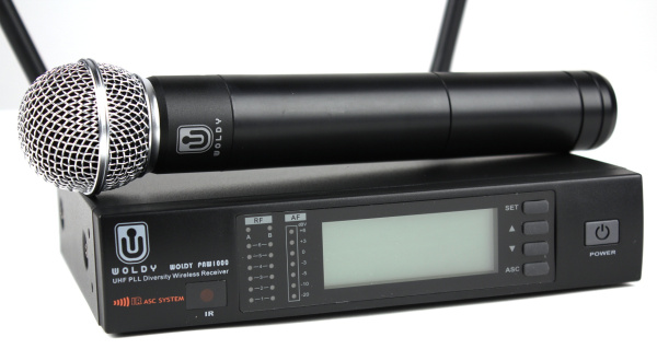 WOLDY PAW1000/PAH1000 WOLDY PAW1000/PAH1000