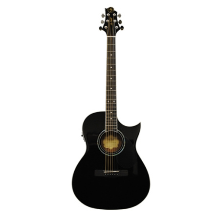 GregBennett GA100SCE/BK
