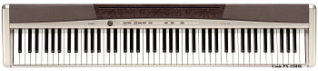 CASIO Privia PX-120DK