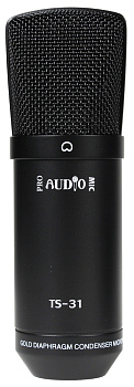 PROAUDIO TS-31 PROAUDIO TS-31