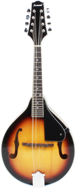 Savannah SA-100 Savannah SA-100