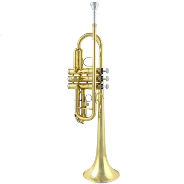 Sebastian STR-700G Sebastian STR-700G