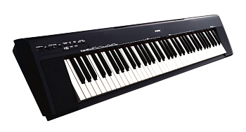 YAMAHA NP-30