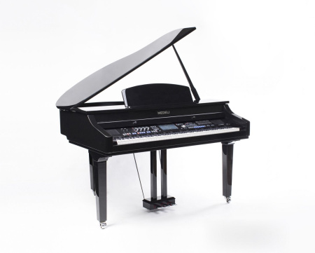 Medeli Grand1000