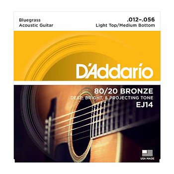 D'ADDARIO EJ14 D'ADDARIO EJ14