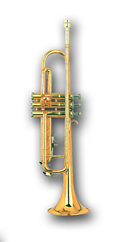 Sebastian STR-320G Sebastian STR-320G