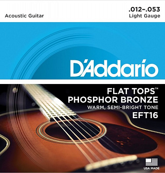 D'ADDARIO EFT16
