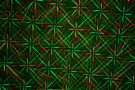 LS Systems Alpha Sunny