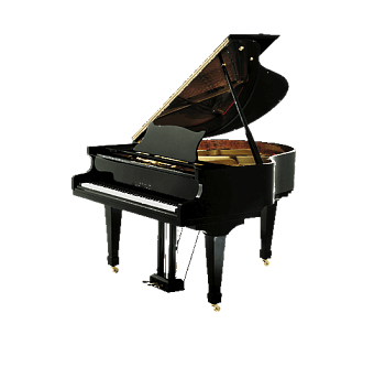 Н.Рубинштейн НР-160