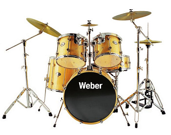 Weber Performance