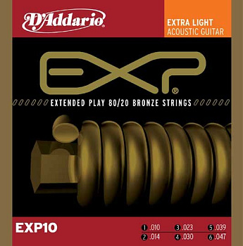 D'ADDARIO EXP10