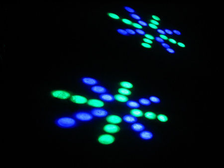 EURO DJ LED DOUBLE FLOWER