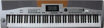ALINA PRO DSP-60