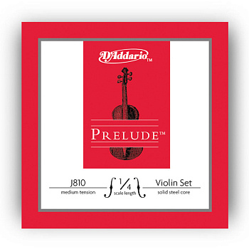 D'ADDARIO J810 1/4M