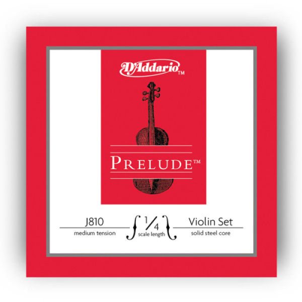 D'ADDARIO J810 1/4M