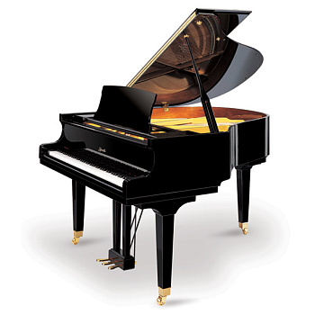 Ritmuller GP-159 R1 A111